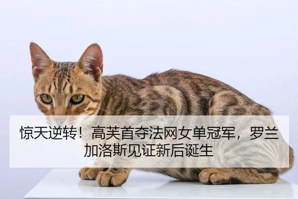 jing-tian-ni-zhuan-gao-fu-shou-duo-fa-wang-nv-dan-guan-jun-luo-lan-jia-luo-si-jian-zheng-xin-hou-dan-sheng-2-233.jpg