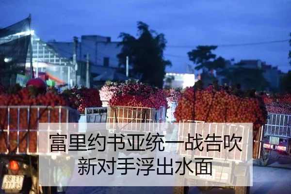 富里约书亚统一战告吹 新对手浮出水面