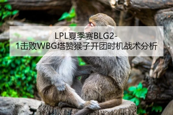 LPL夏季赛BLG2-1击败WBG塔赞猴子开团时机战术分析