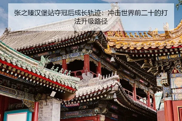 zhang-zhi-zhen-han-bao-zhan-duo-guan-hou-cheng-zhang-gui-ji-chong-ji-shi-jie-qian-er-shi-de-da-fa-sheng-ji-lu-jing-3-386.jpg