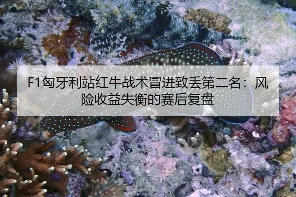 xiong-ya-li-zhan-hong-niu-zhan-shu-mao-jin-zhi-diu-di-er-ming-feng-xian-shou-yi-shi-heng-de-sai-hou-fu-pan-3-806.jpg